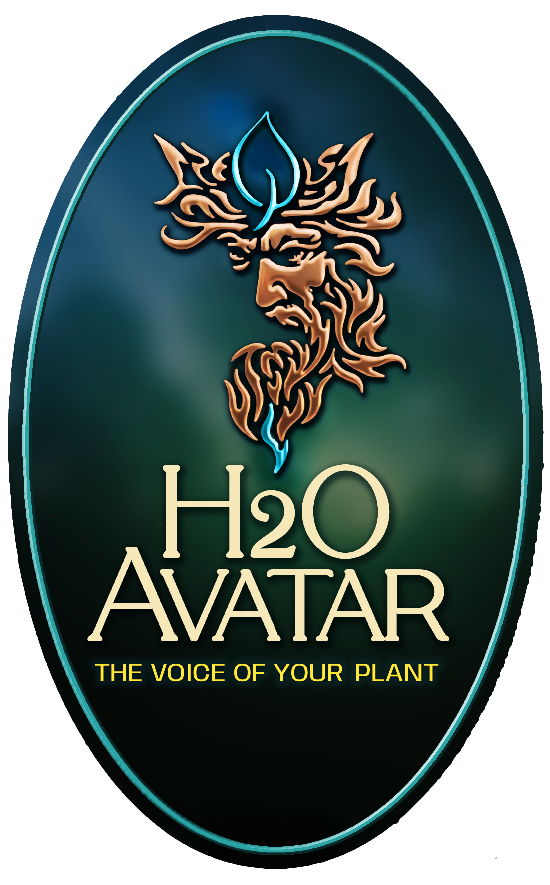 H2O Avatar Logo