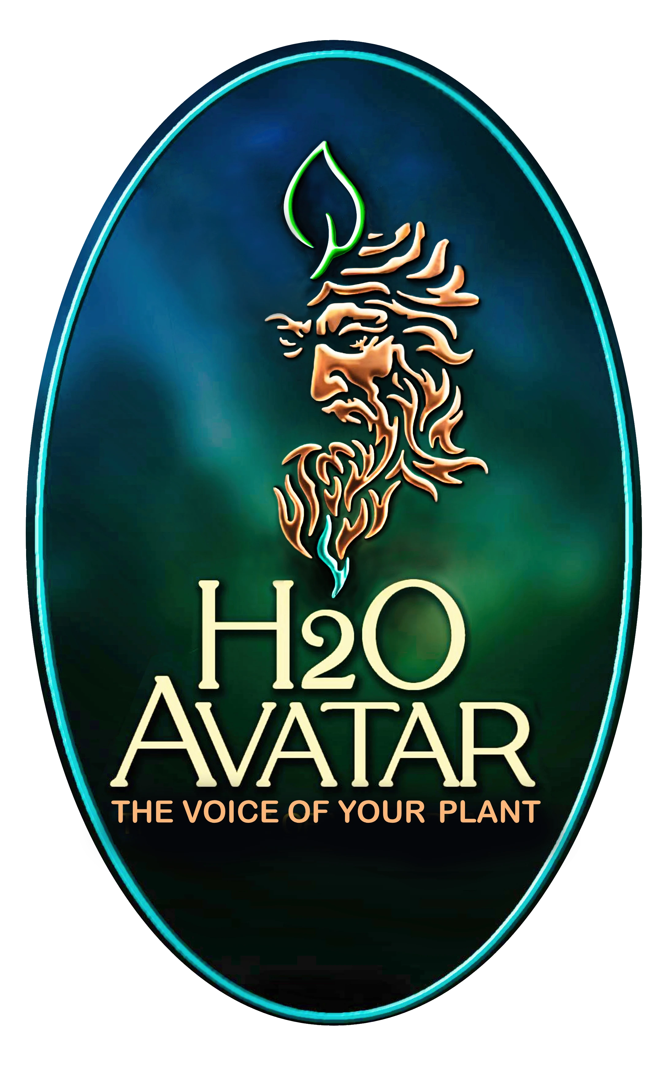 H2O Avatar Logo